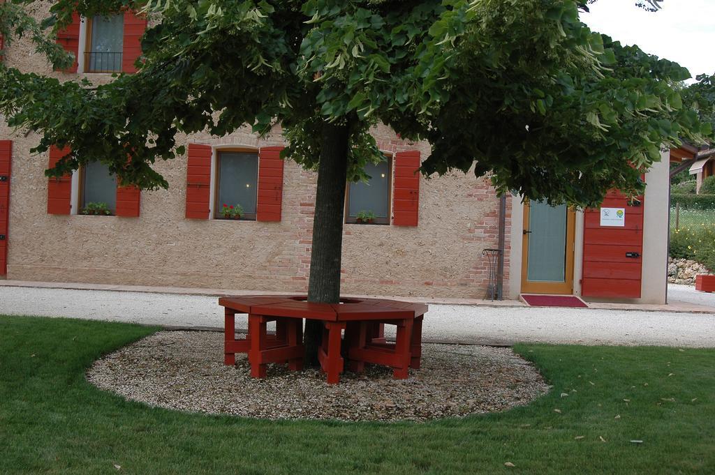 Agriturismo La Paterna Giavera del Montello Екстериор снимка